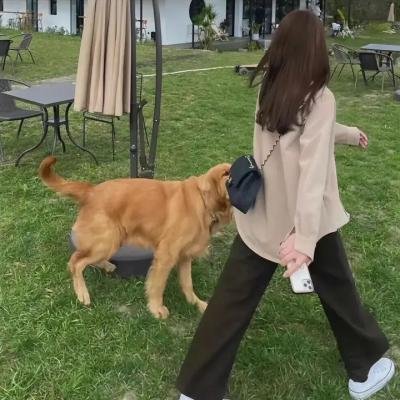 摇滚正当年